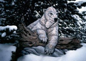 Tree Hugger